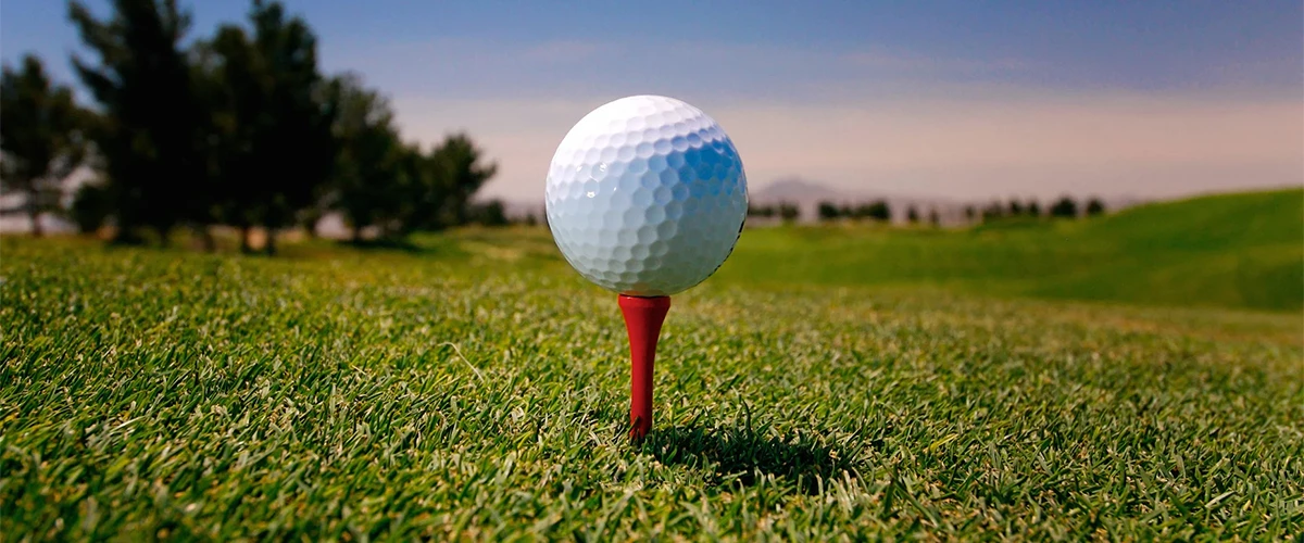 Cheap Balls Store -Cheap Balls Store 4365TRETRY